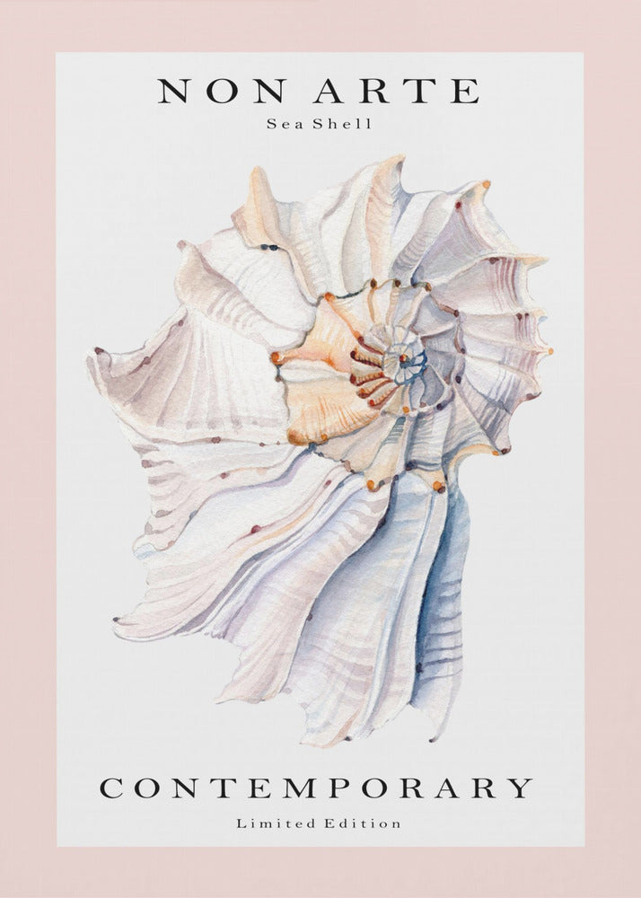 Ei-taidemainen simpukka nro 1 | Canvastaulut