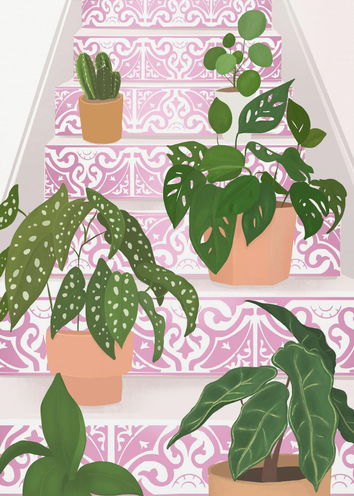 Plants | Canvas