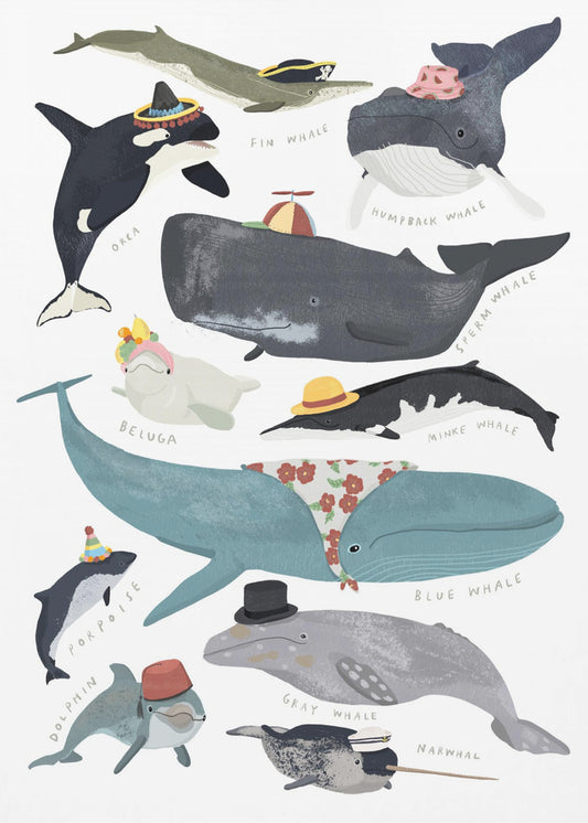 Ballenas con sombreros | Impresiones en Lienzo