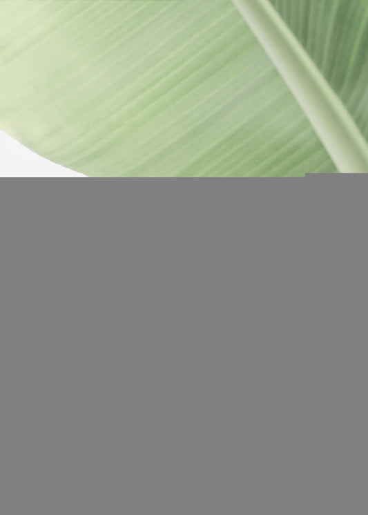 Leafy Serenity | Poster