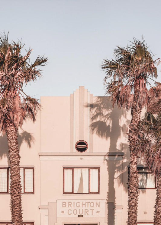 Palm Shadows | Poster