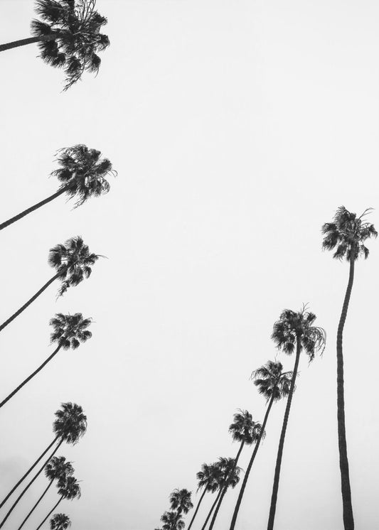 Whispers in the Sky | Canvas