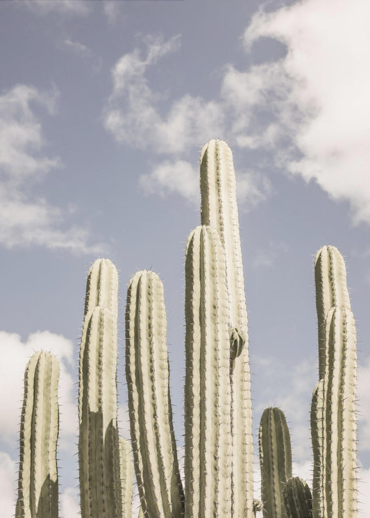 Wüstenkathedrale Nr. 2 | Poster