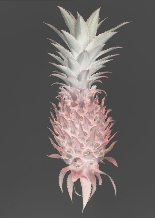 Mansikkamänty | Julisteet - Taidevedokset