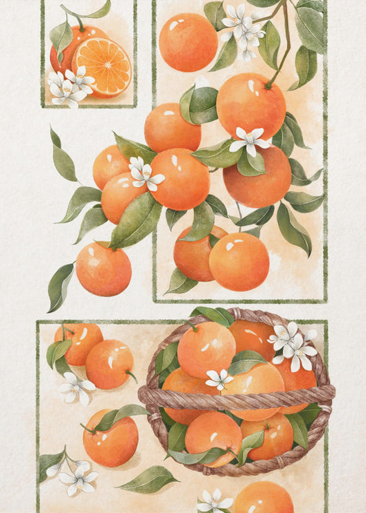 Orangenblüte | Poster