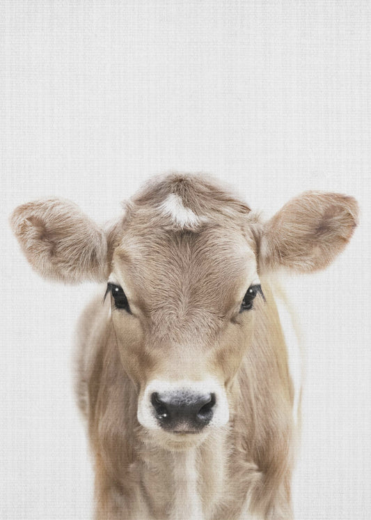 Peekaboo-Babykuh | Leinwand-Bilder