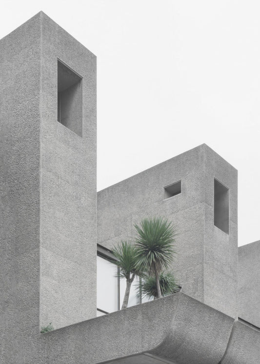 Lonely Palms No2 | Canvas