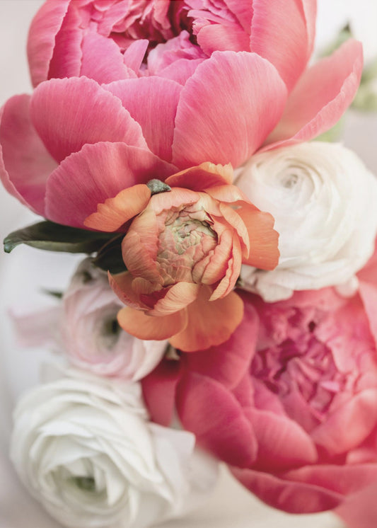 Kevään kukat 1 | Canvastaulut