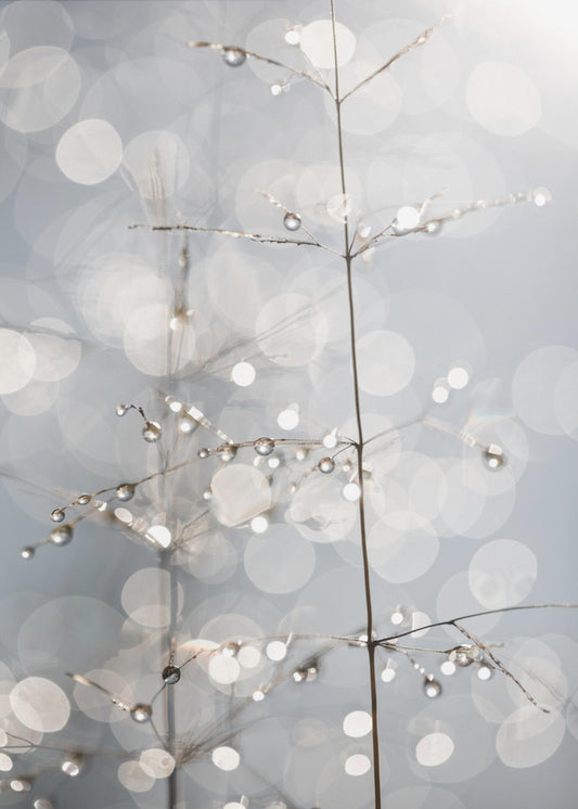 Naturalny Blask | Wydruki na łótnie