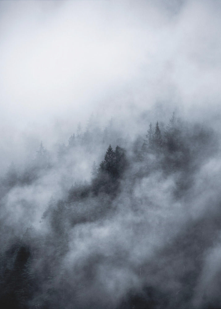 Sumuinen aamu 3 | Canvastaulut