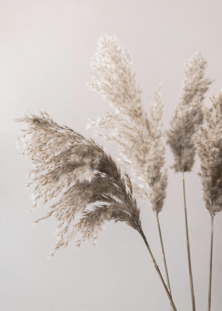 Ruoho 24X | Canvastaulut