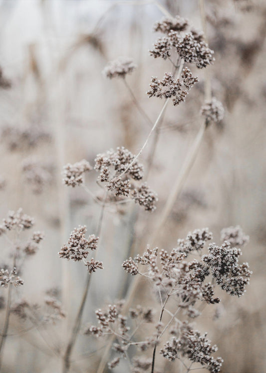 Sconosciuto 8 | Stampe su Tela