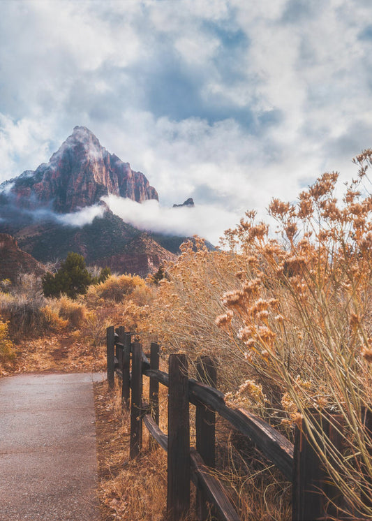 Polku kalliolle | Canvastaulut