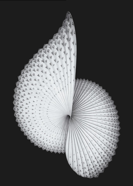 Nautilus-ähnliche Skulptur | Leinwand-Bilder