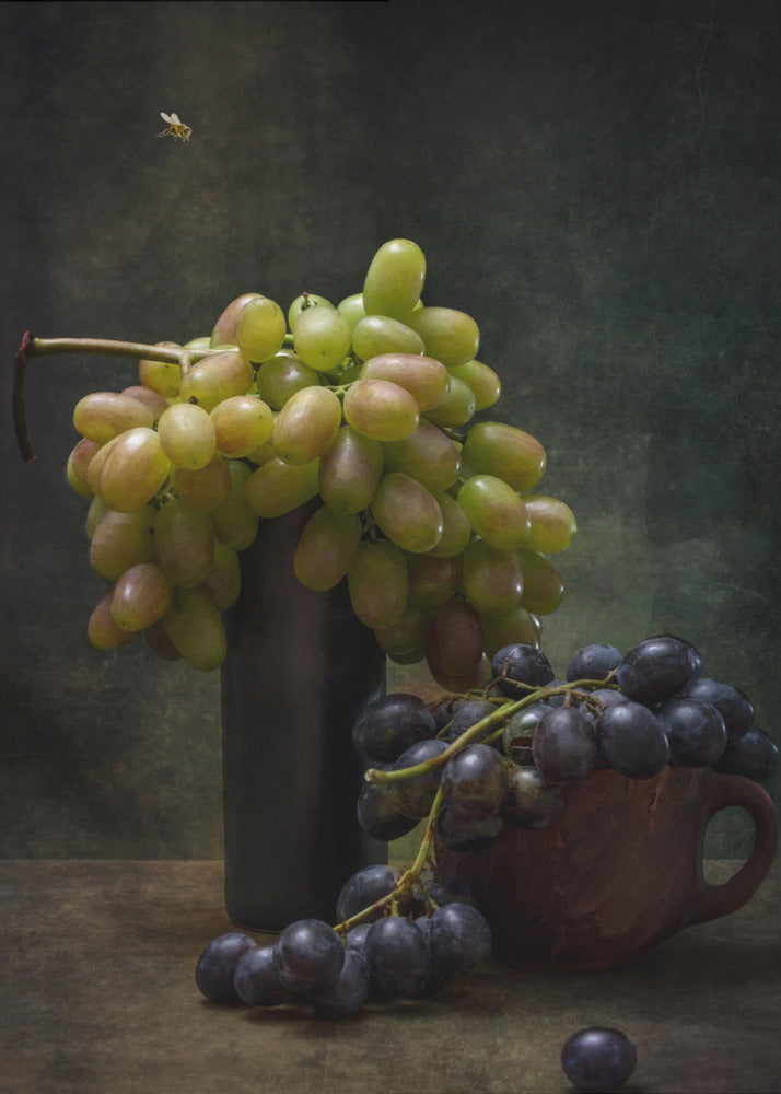 Asetelma viinirypäleillä ja mehiläisellä | Julisteet - Taidevedokset