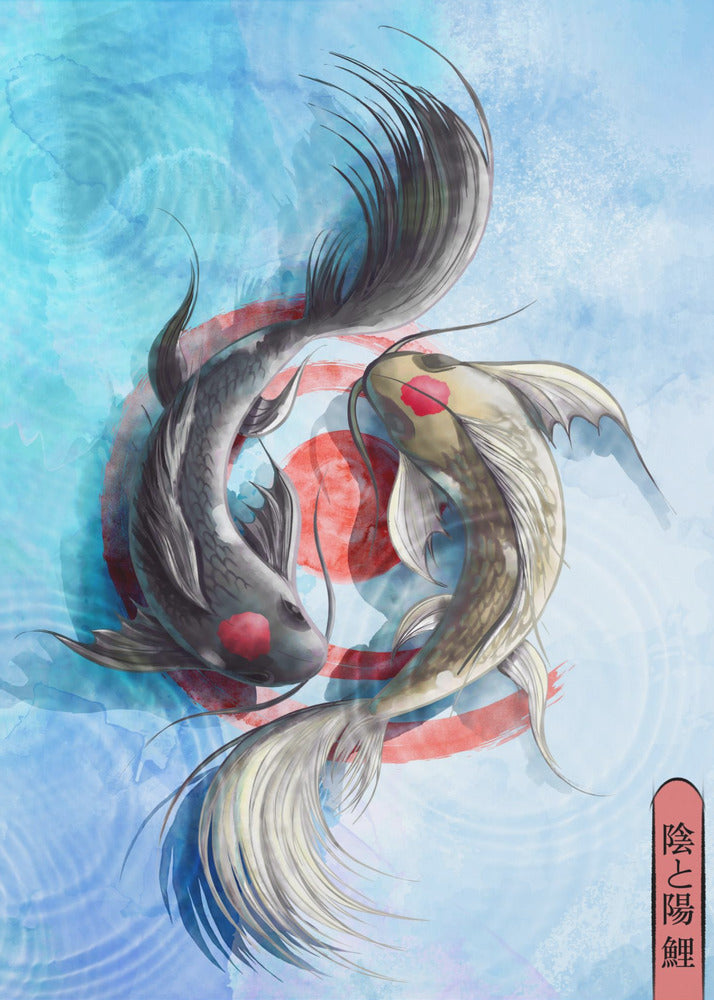 Jasny Koi | Wydruki na łótnie