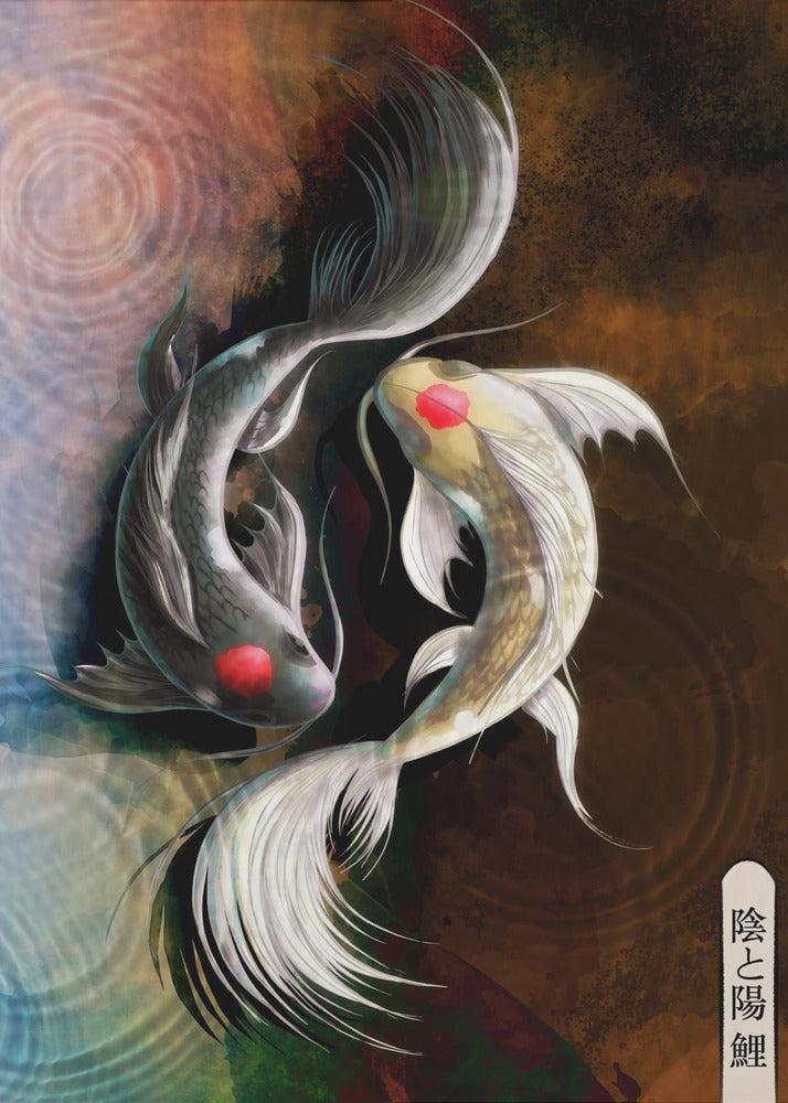 Ciemny Koi | Wydruki na łótnie