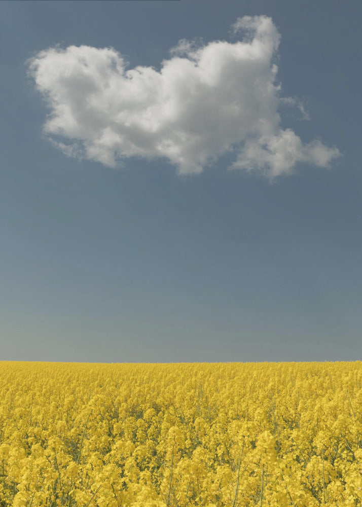 Vision | Tableaux sur Toile