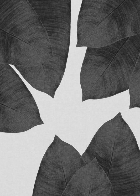 Banana Leaf Black & White I | Poster