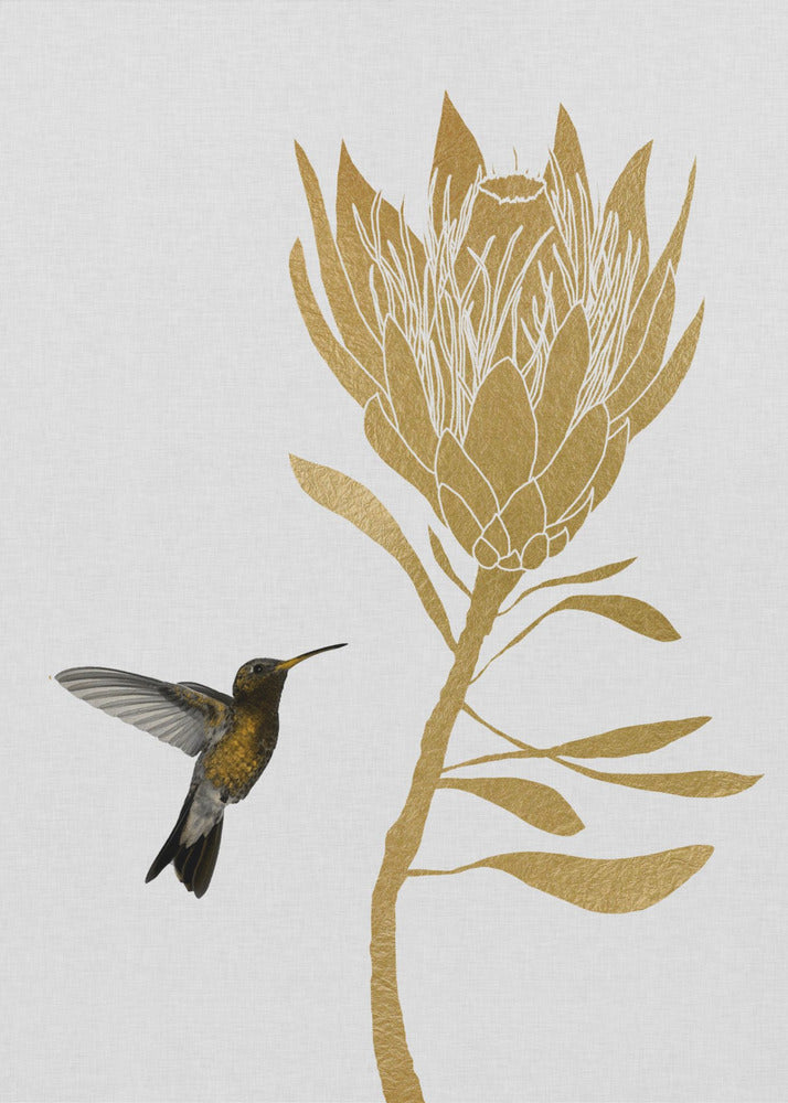 Hummingbird & Flower I | Canvas