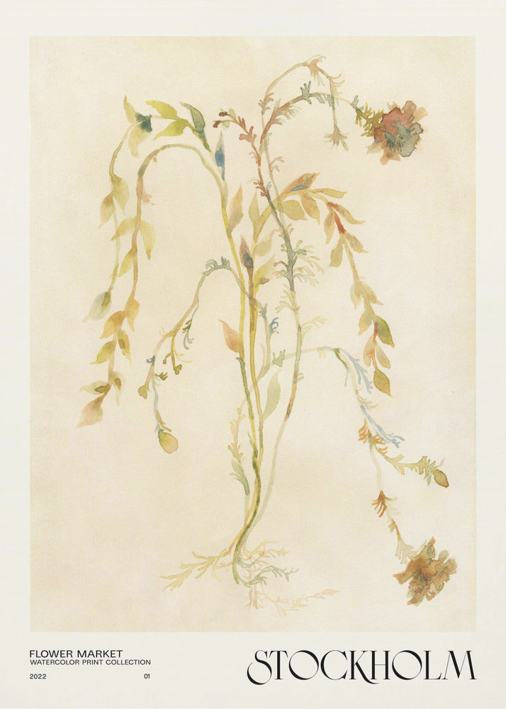 Aquarelldrucksammlung. Blumenmarkt – Stockholm | Poster