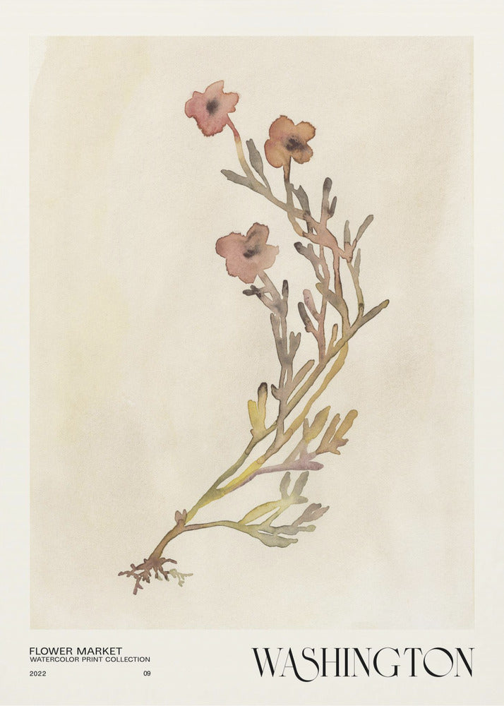 Aquarelldruck-Sammlung. Blumenmarkt – Washington | Poster