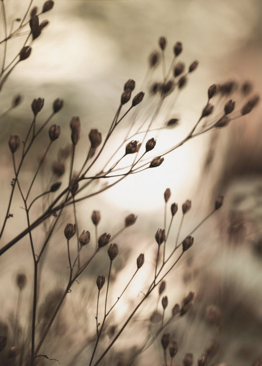 Herbstlichter | Leinwand-Bilder