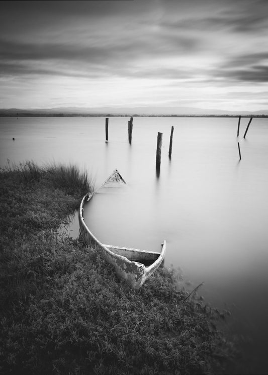 *** | Stampe su Tela