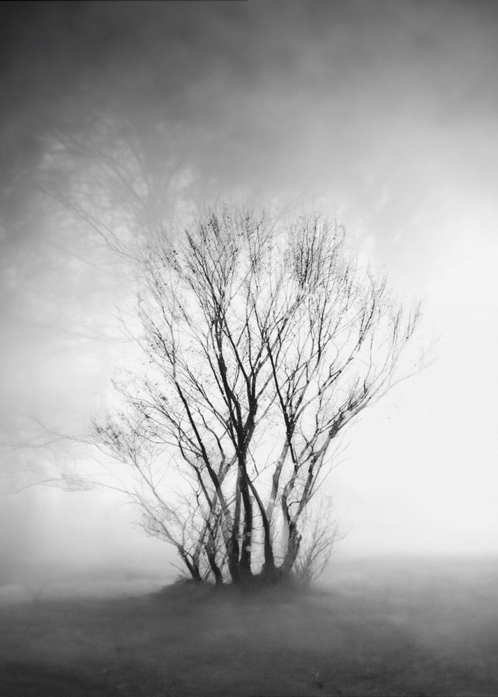 nackt | Leinwand-Bilder