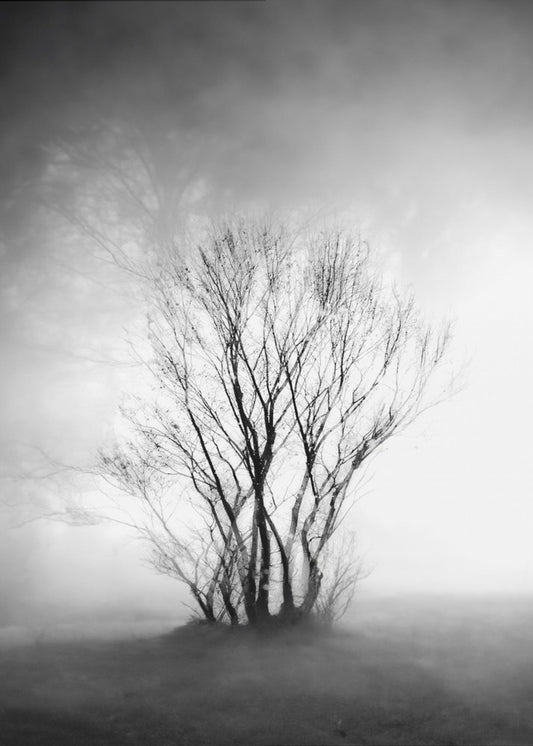 nackt | Leinwand-Bilder