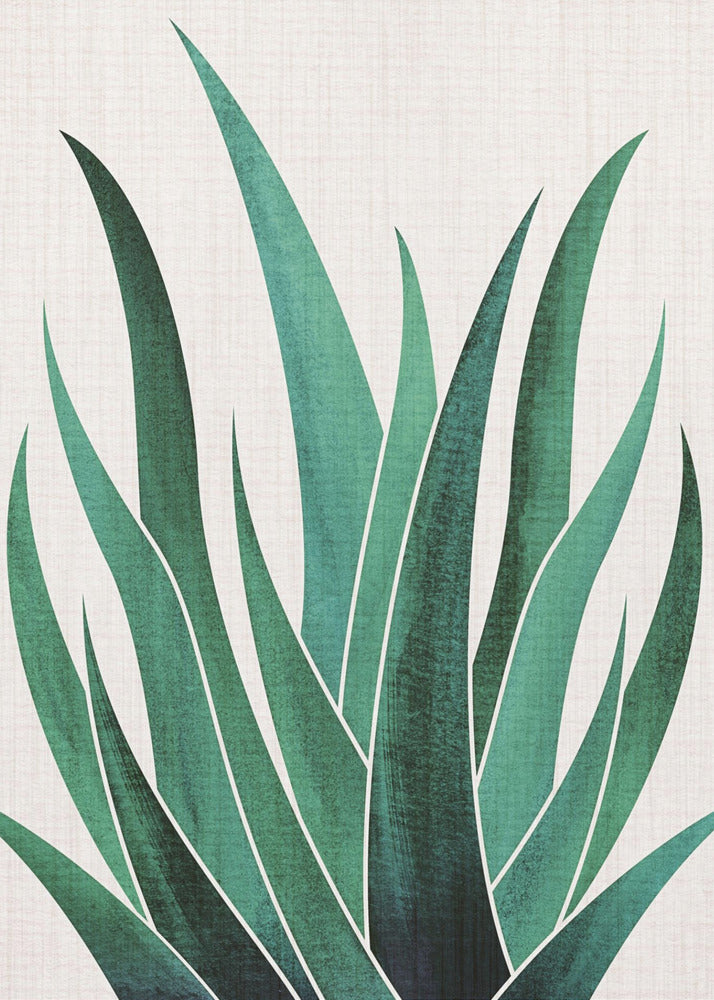 Cactus di agave del deserto | Stampe su Tela