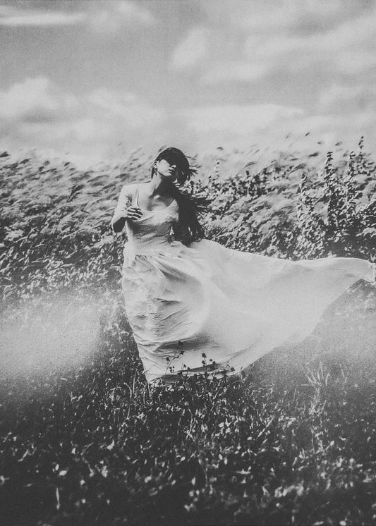 Windsnest | Leinwand-Bilder