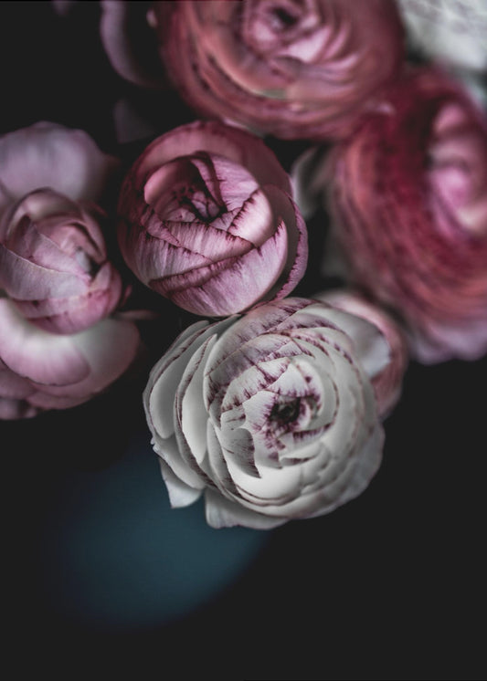 Dunkle Blumen 2 | Poster