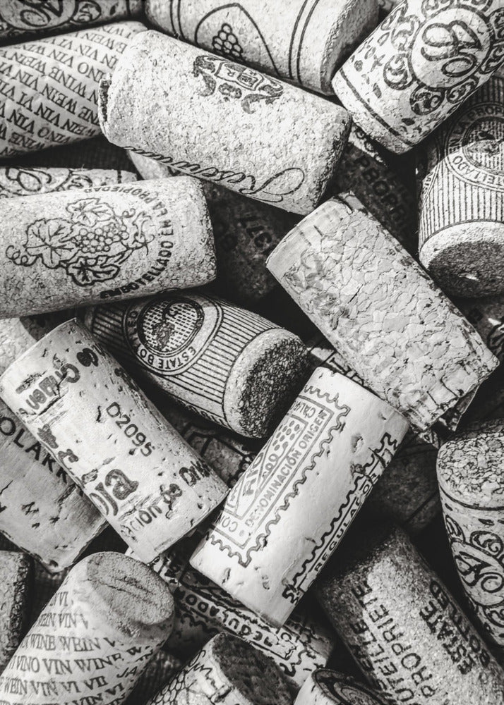 Wine 001 Bw | Canvas