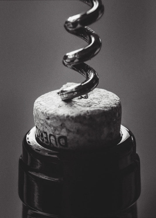 Viini 002 mustavalkoinen | Canvastaulut