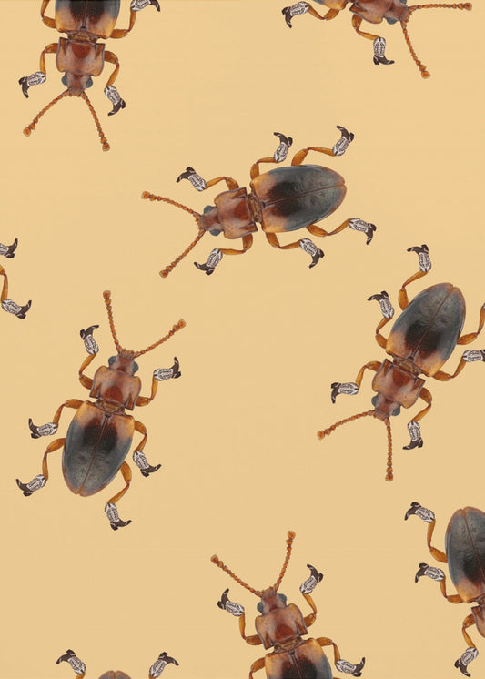 Billy, der Stiefelkäfer | Leinwand-Bilder