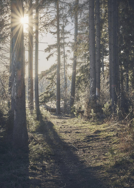 Dsf2913 HDR 1 | Leinwand-Bilder