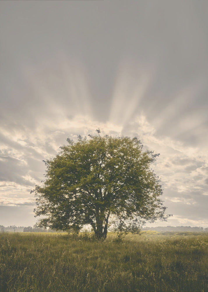 20220616 Dsf4394 | Tableaux sur Toile