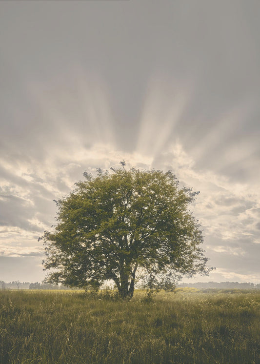 20220616 Dsf4394 | Leinwand-Bilder