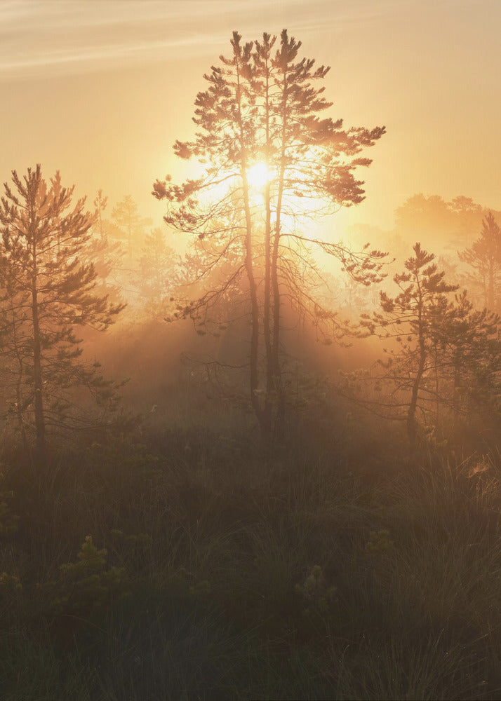 20220809 Dsf8009 Hdr 1 | Canvas