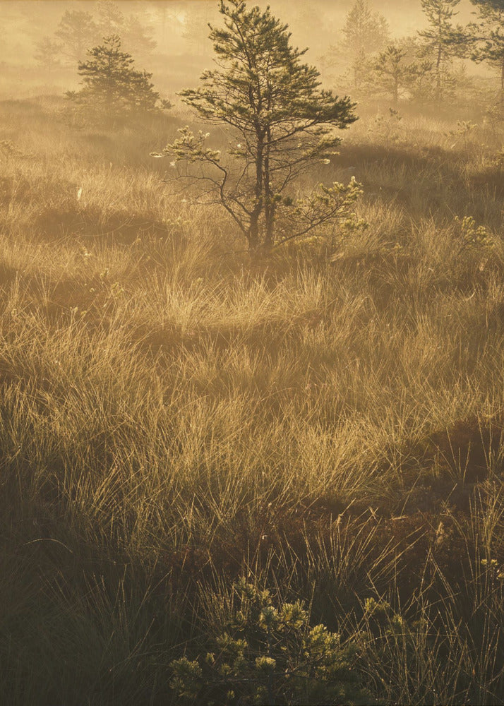 20220809 Dsf8033 | Impresiones en Lienzo