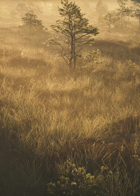 20220809 Dsf8033 | Leinwand-Bilder