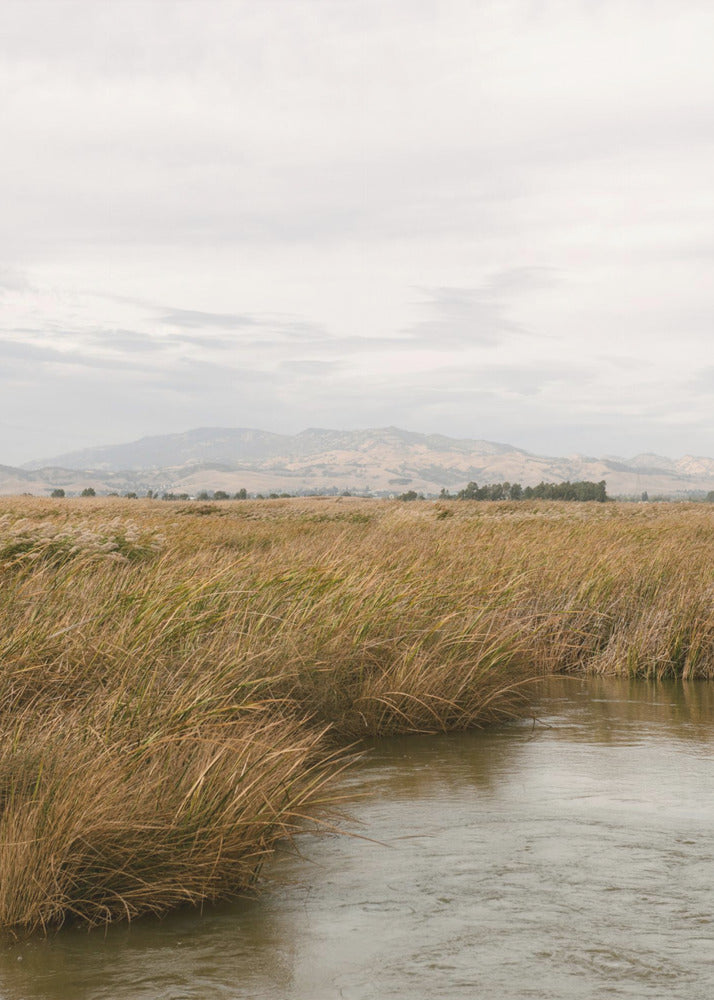 Bagna nr 2 | Wydruki na łótnie
