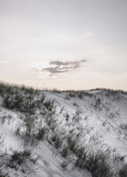 An der Küste | Leinwand-Bilder