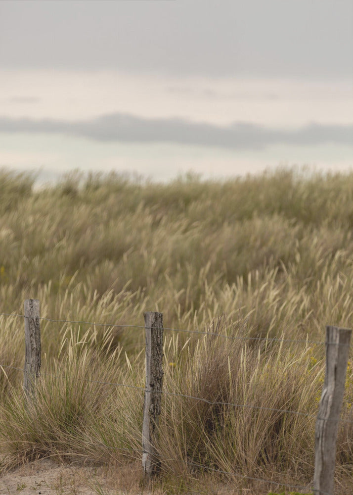 Krajobrazy wybrzeża 1 | Wydruki na łótnie