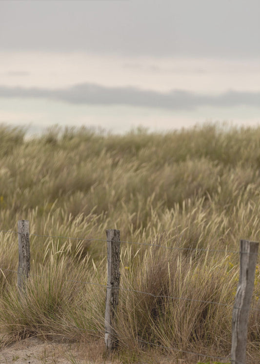 Krajobrazy wybrzeża 1 | Wydruki na łótnie