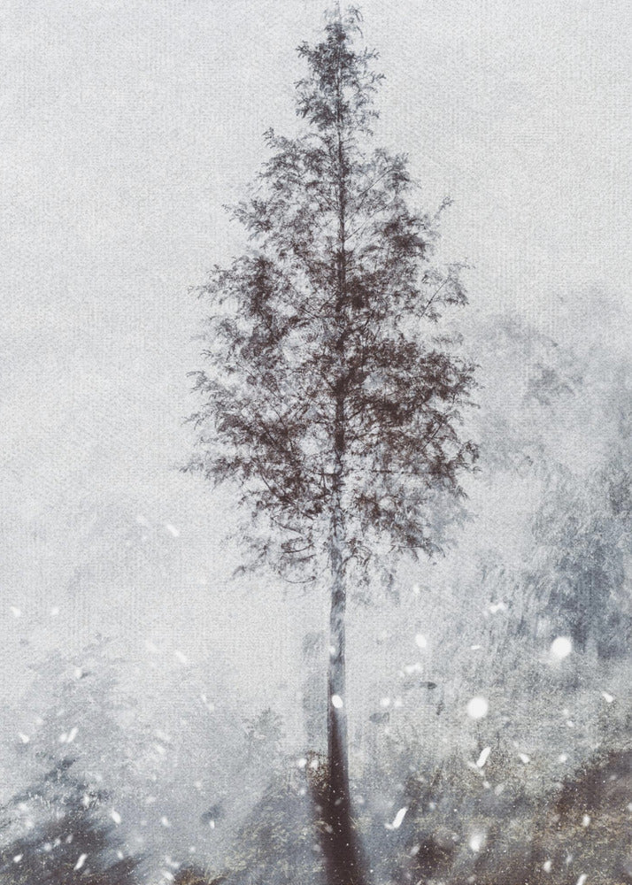 Kudotut luonnon unelmat | Canvastaulut