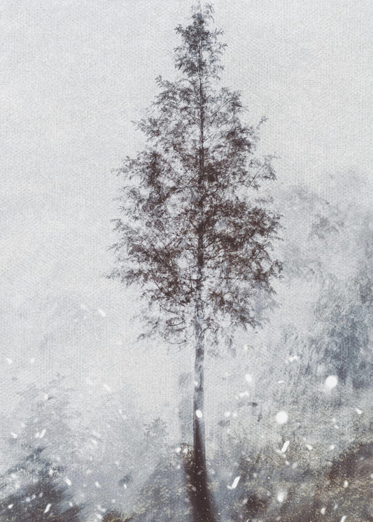 Kudotut luonnon unelmat | Canvastaulut