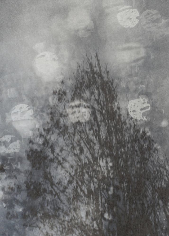 Moody tree | Canvas