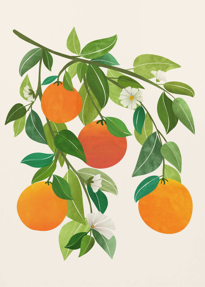 Orangen und Blüten II | Leinwand